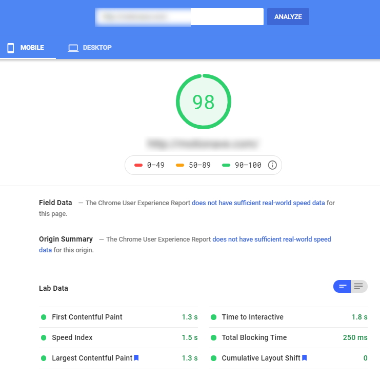 PageSpeed Mobile Results